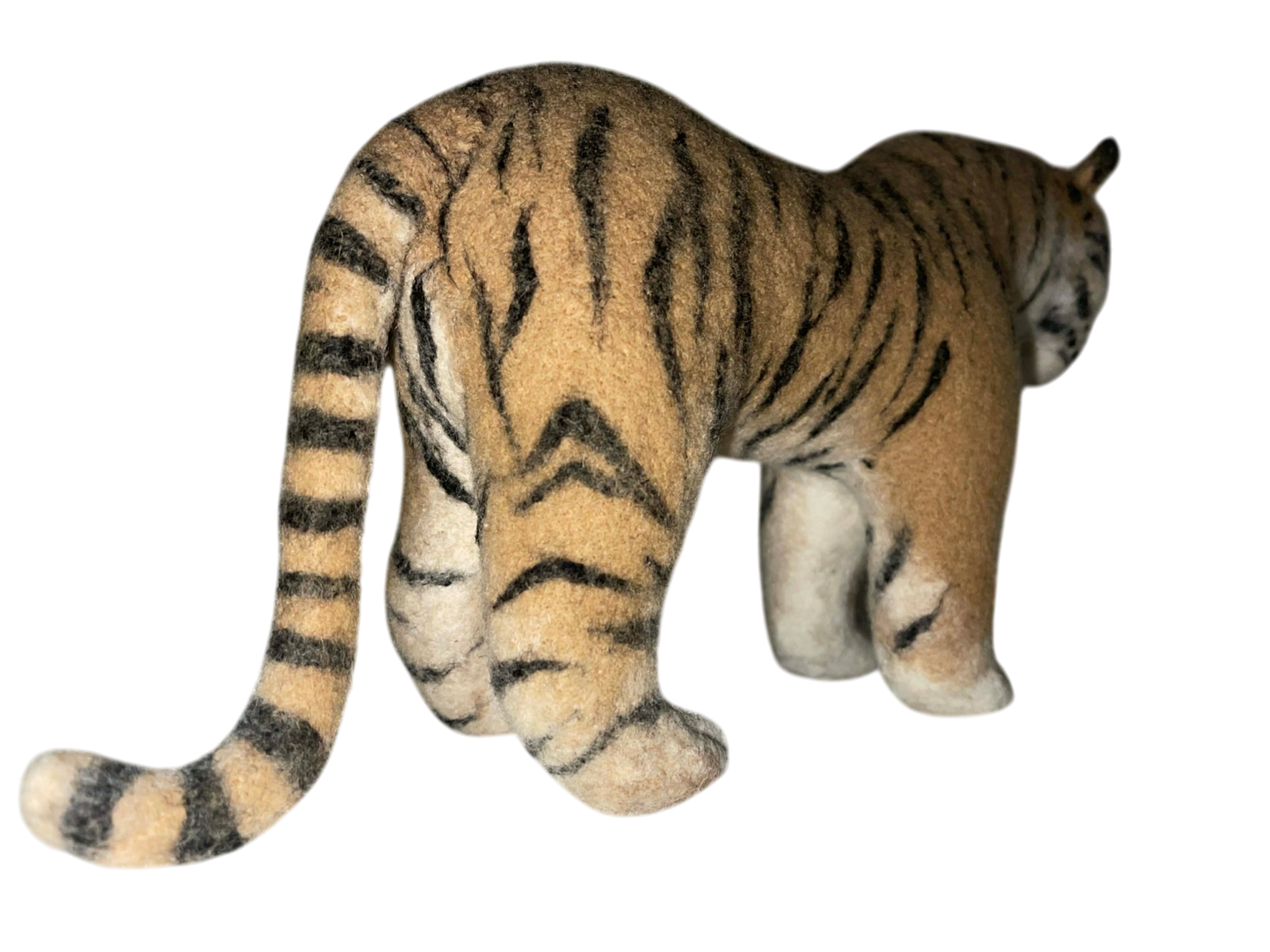 Indian Bengal Tiger