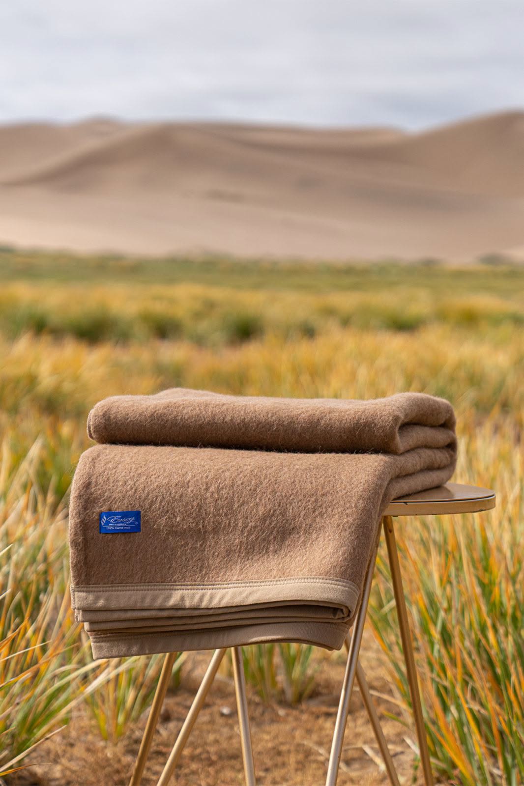 Cashmere Blanket