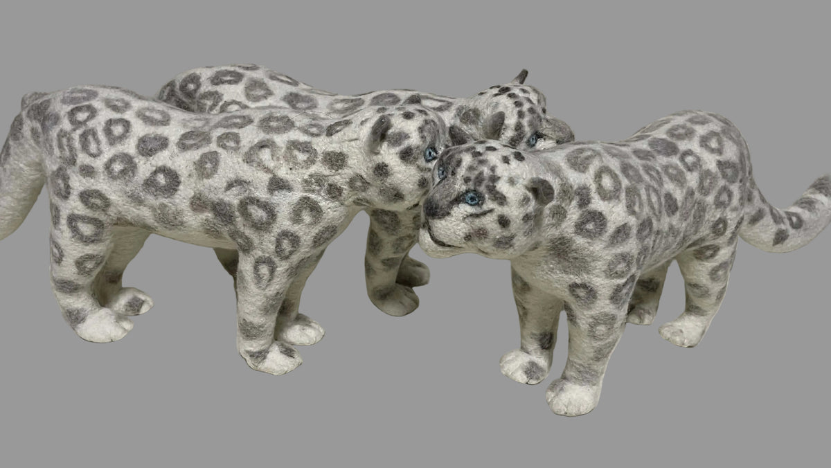 Gobi Snow Leopard