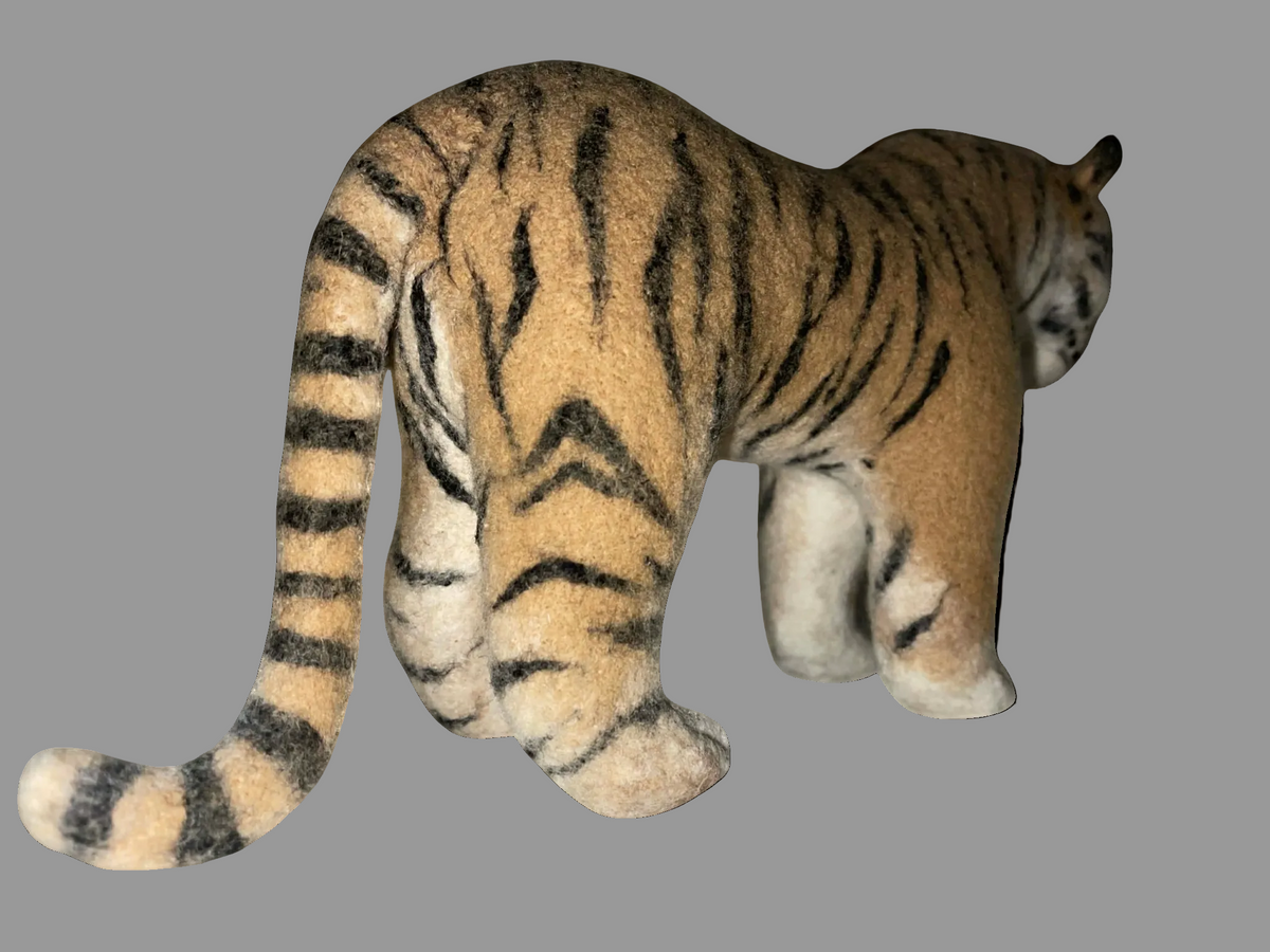 Indian Bengal Tiger