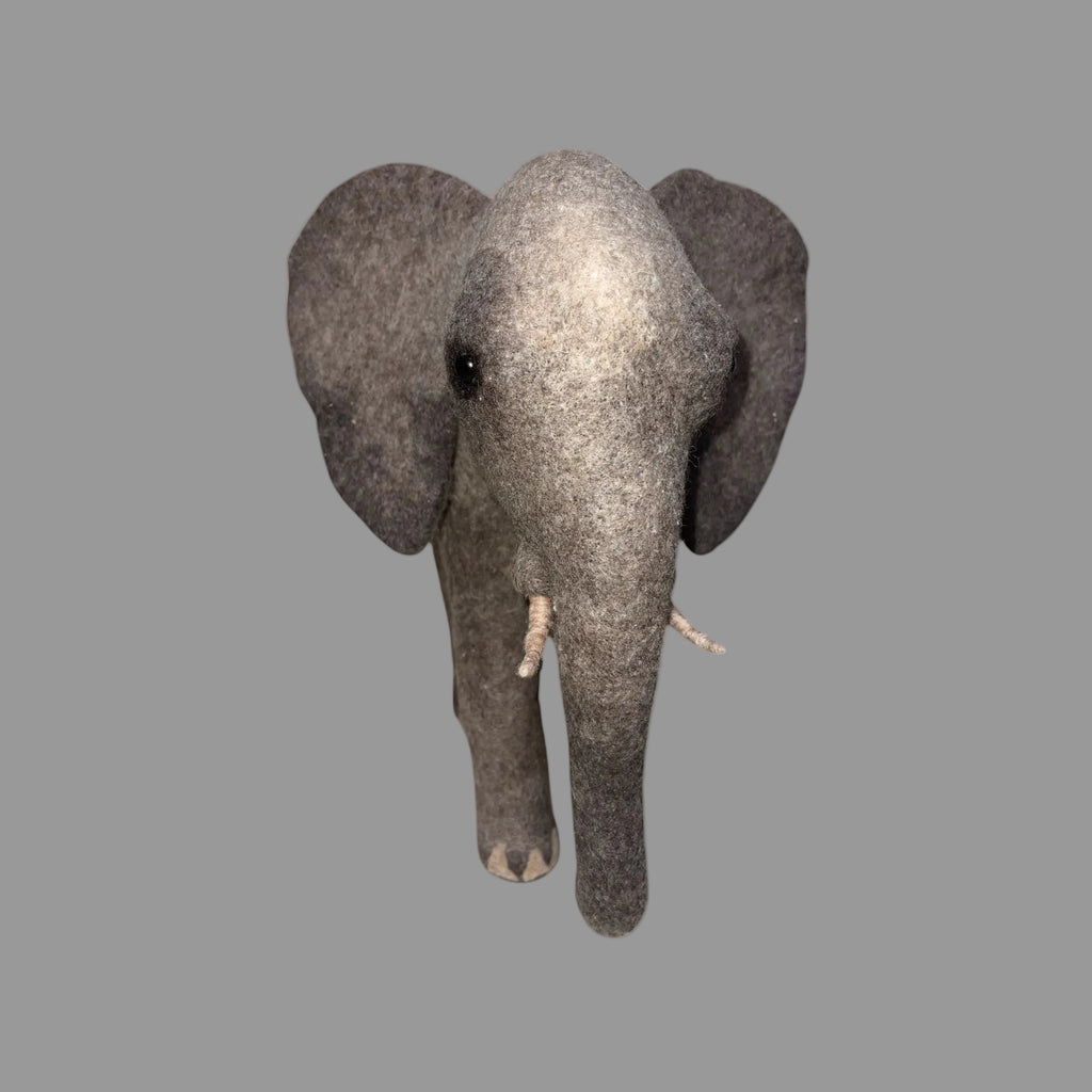African Elephant