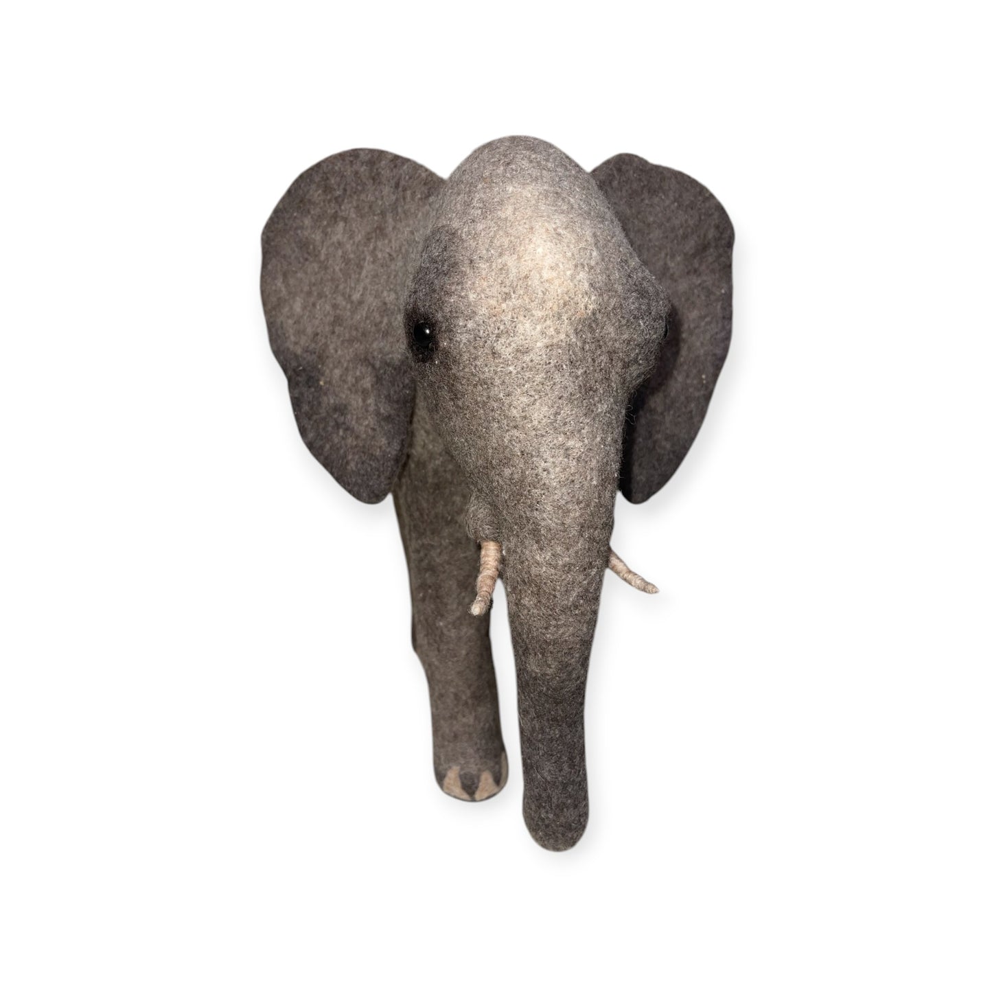 African Elephant