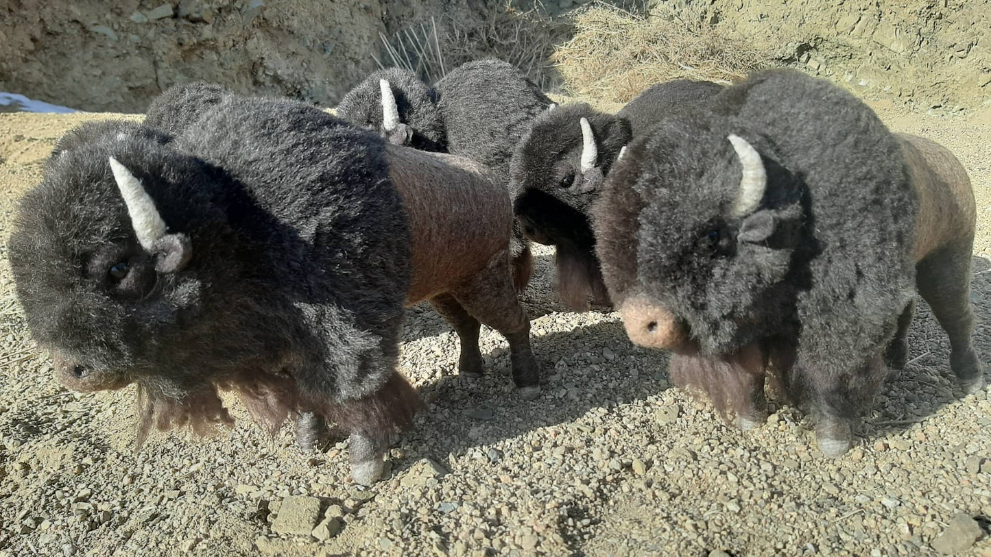 American Buffalo