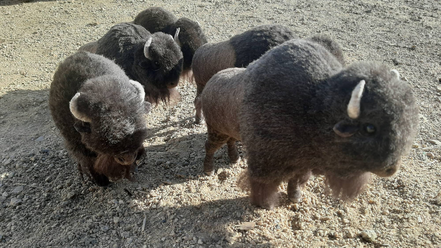 American Buffalo