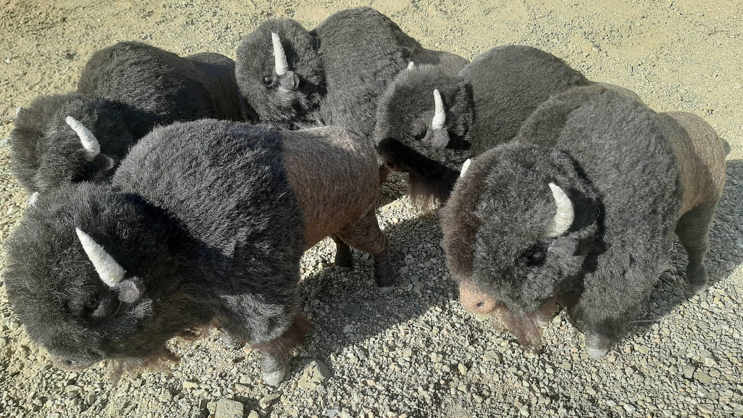 American Buffalo