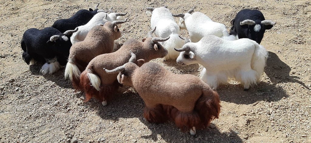 Mongolian Yak