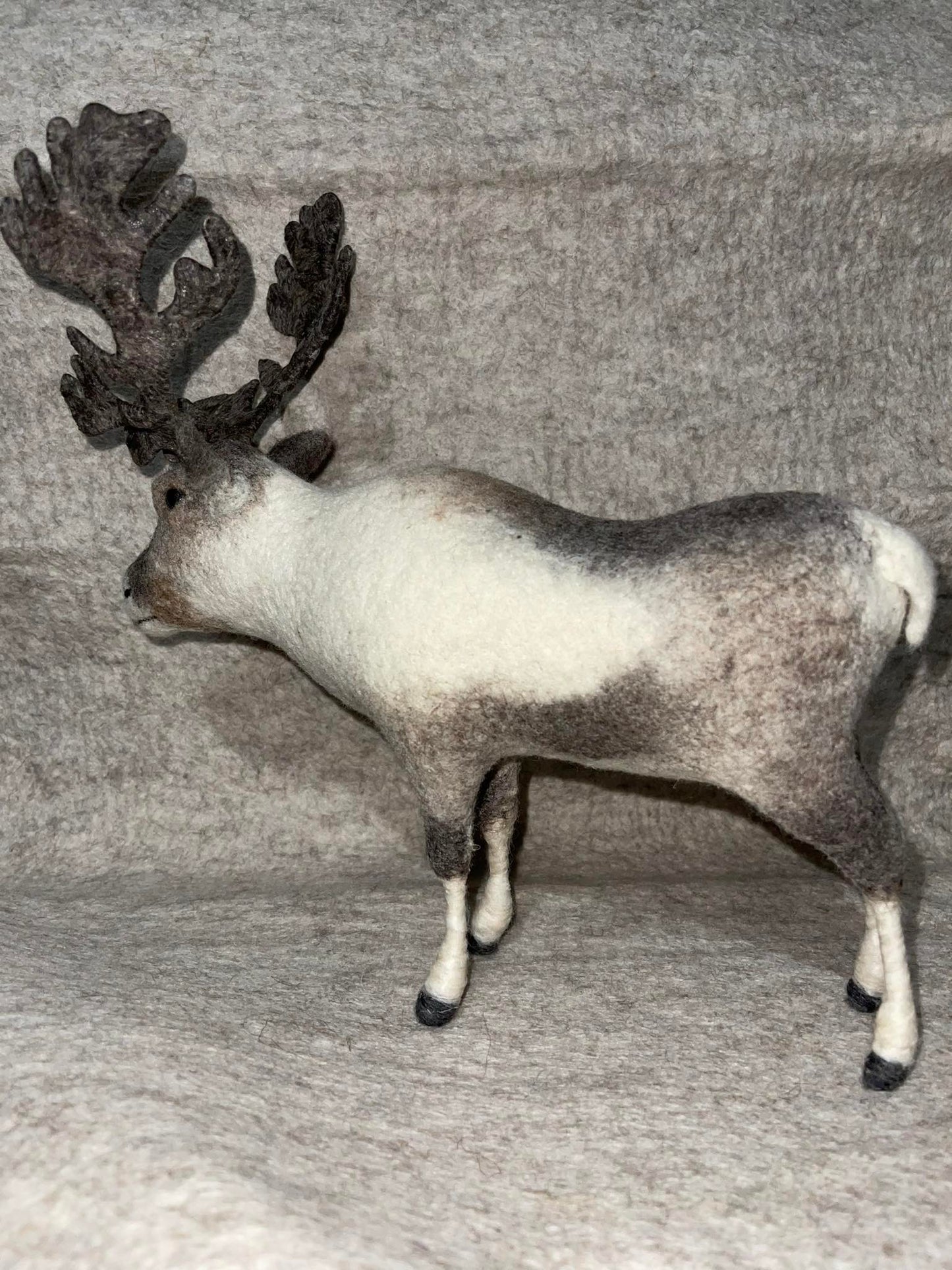 Mongolian Reindeer