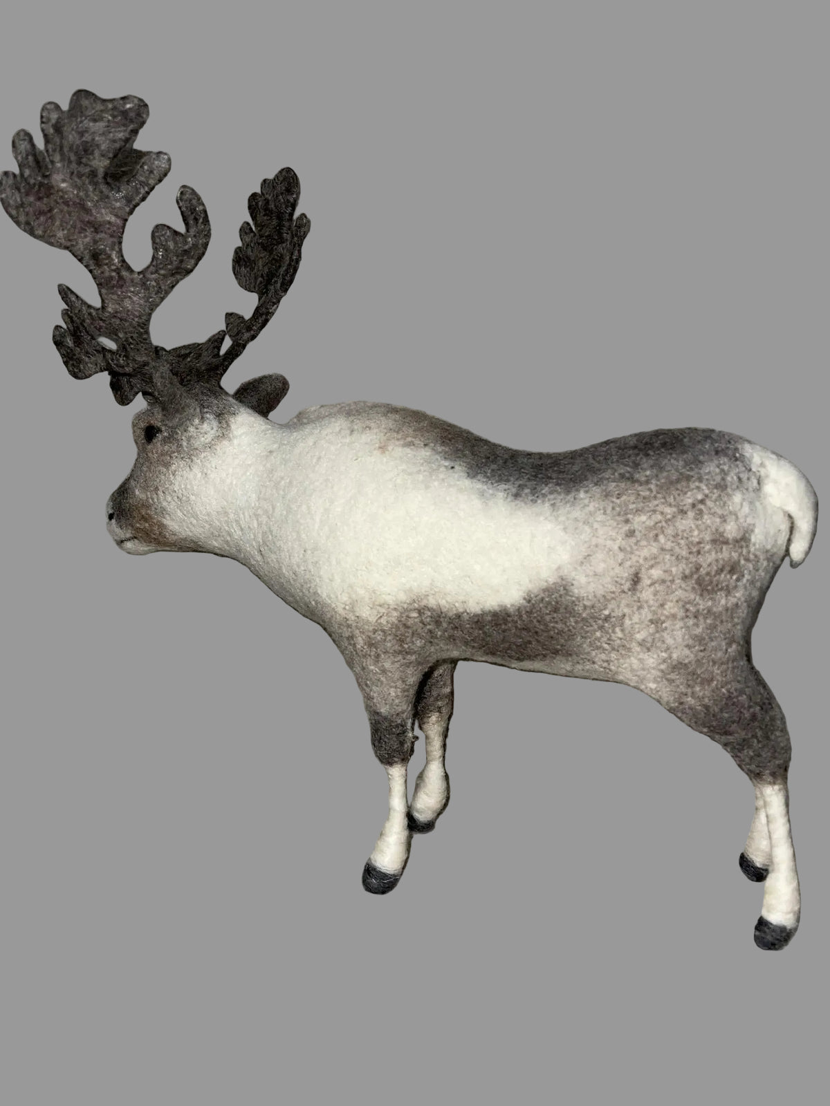 Mongolian Reindeer