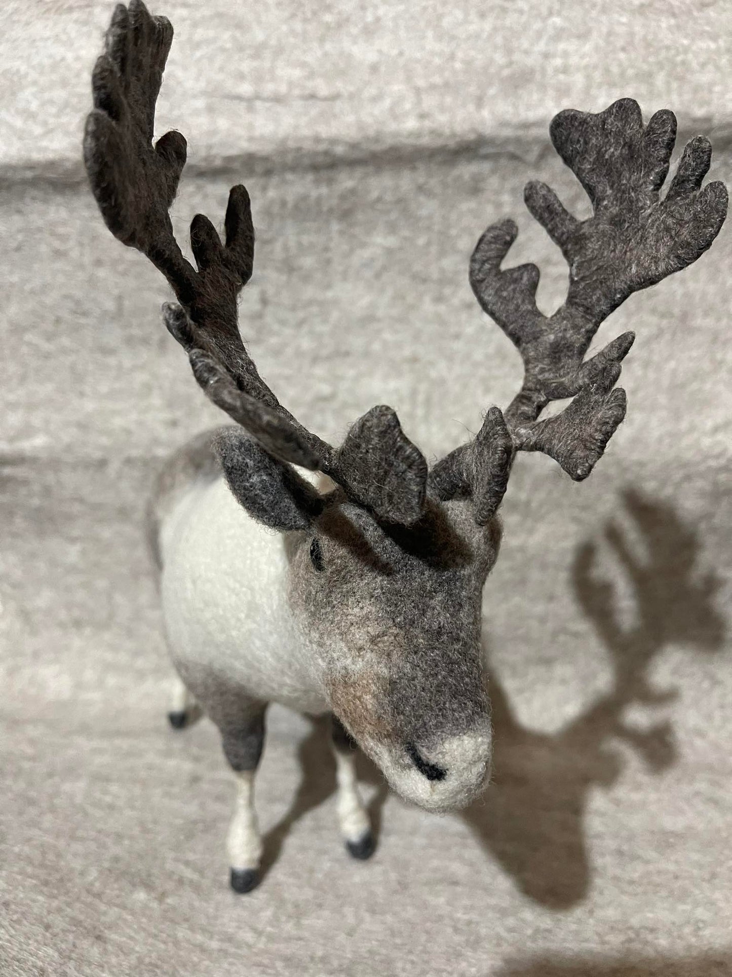 Mongolian Reindeer