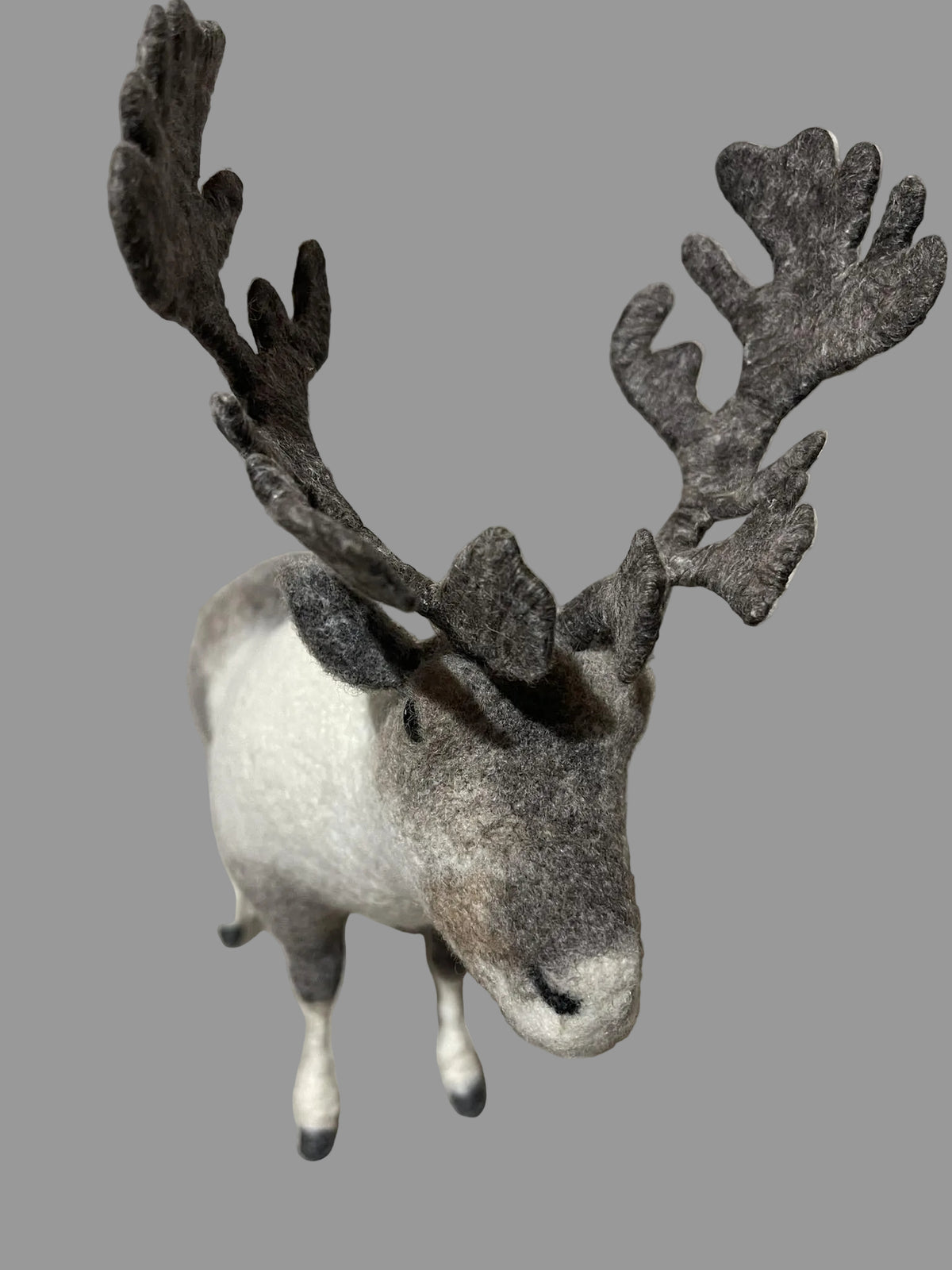 Mongolian Reindeer
