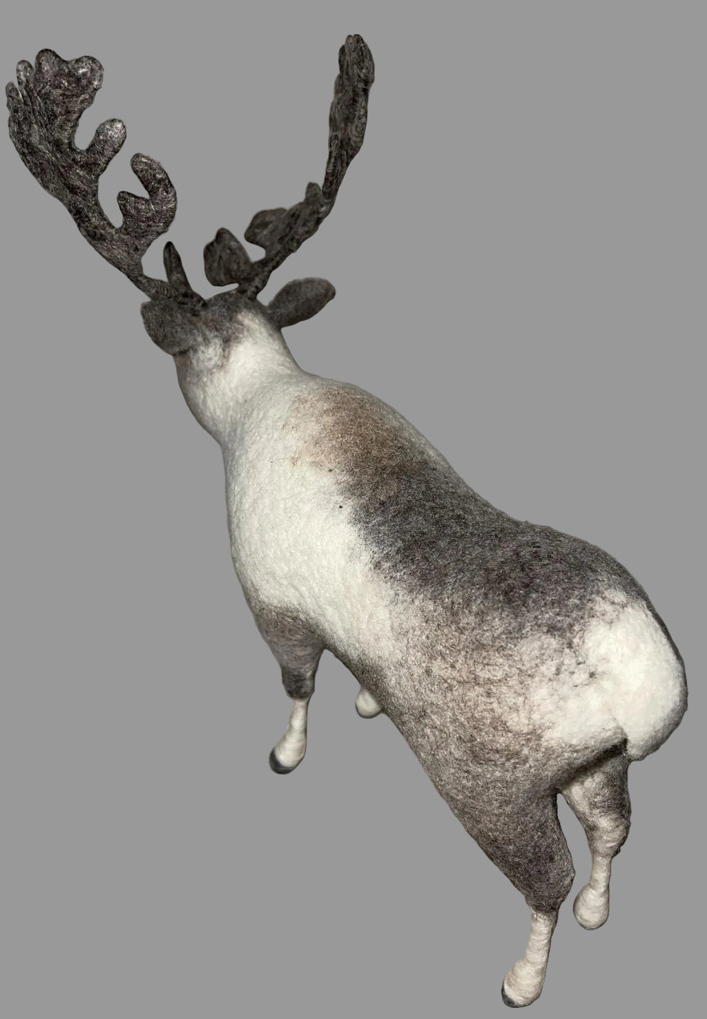 Mongolian Reindeer