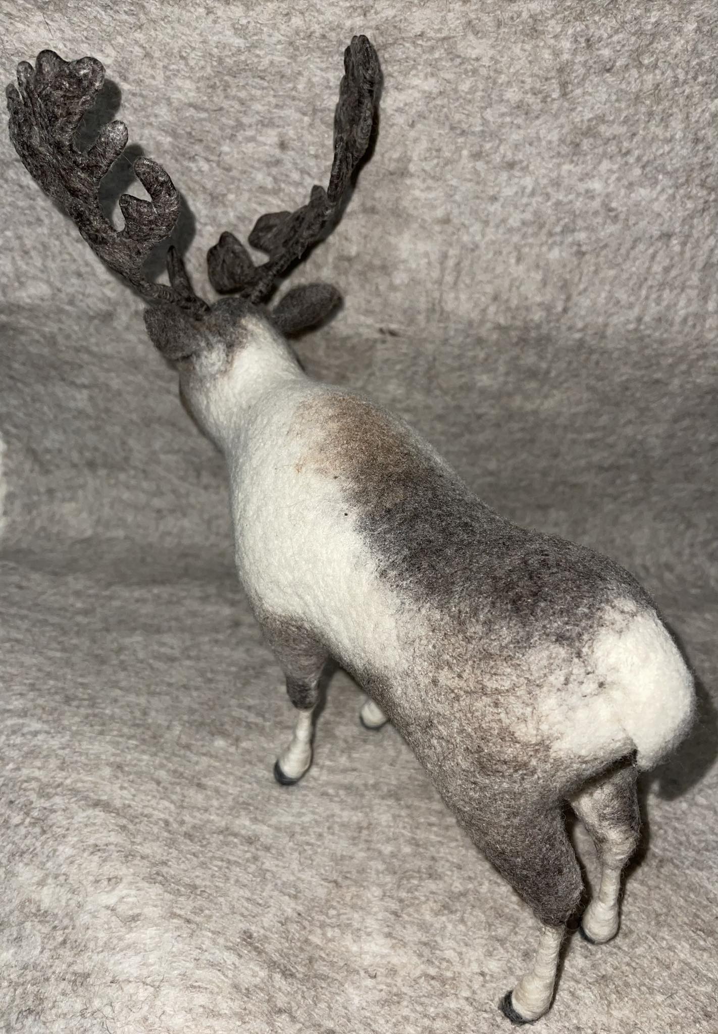 Mongolian Reindeer