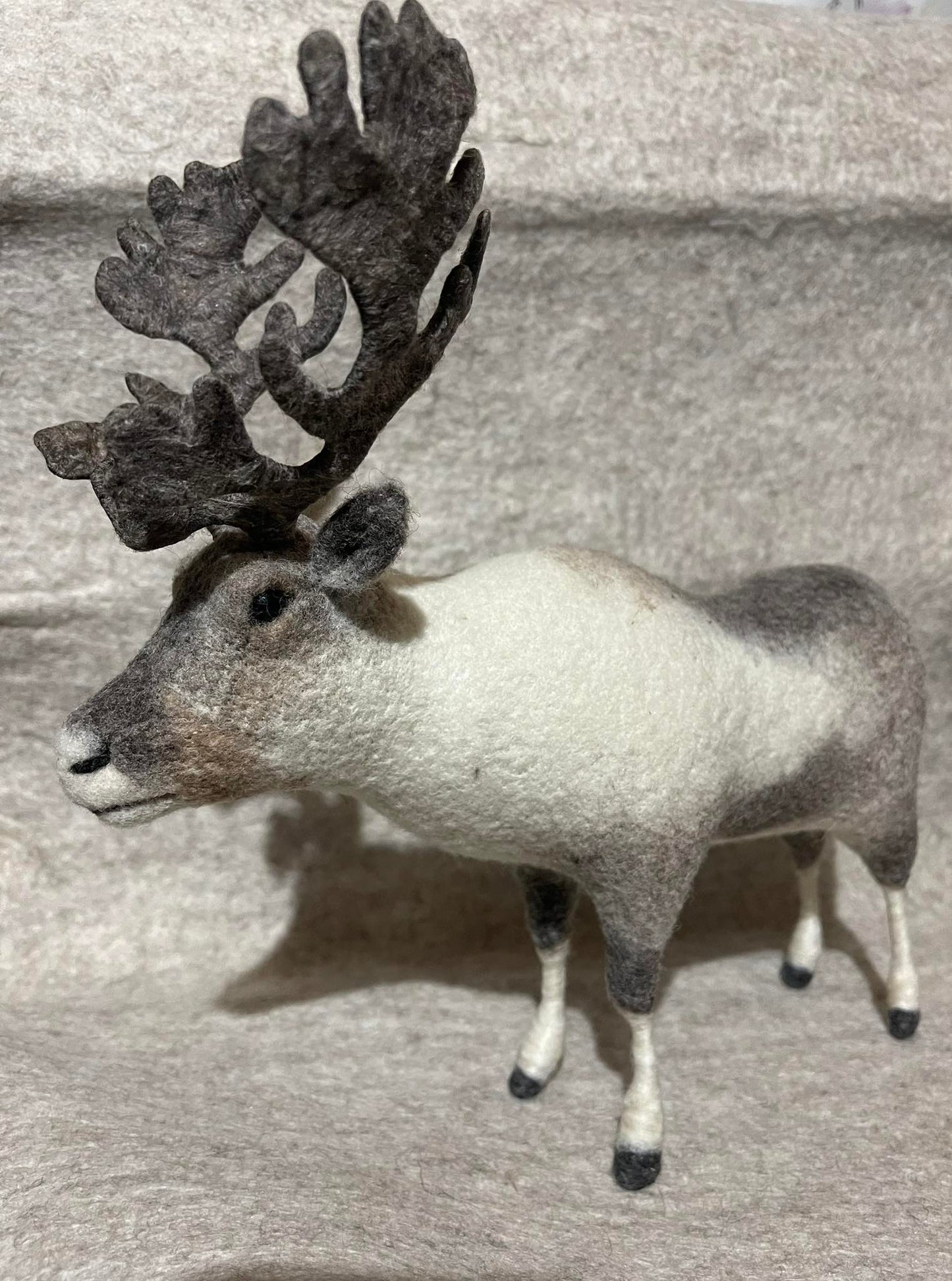 Mongolian Reindeer