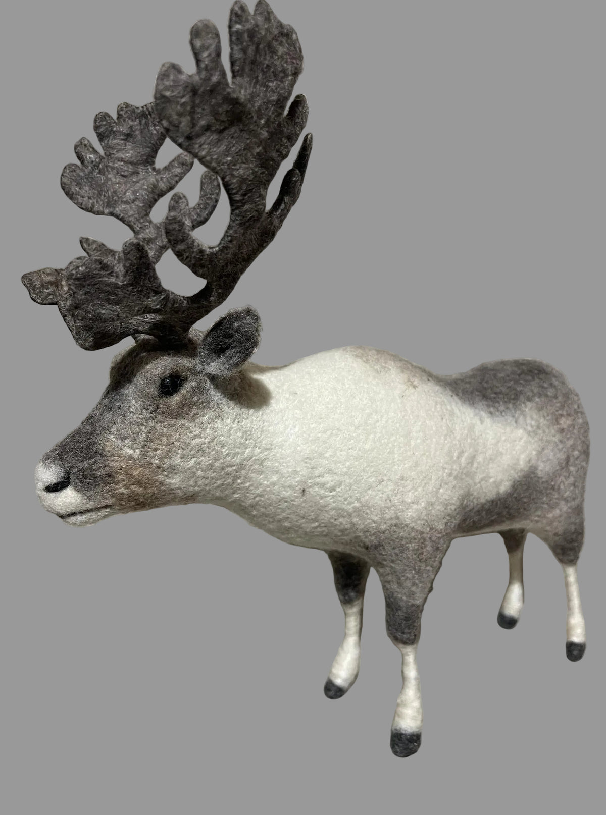 Mongolian Reindeer