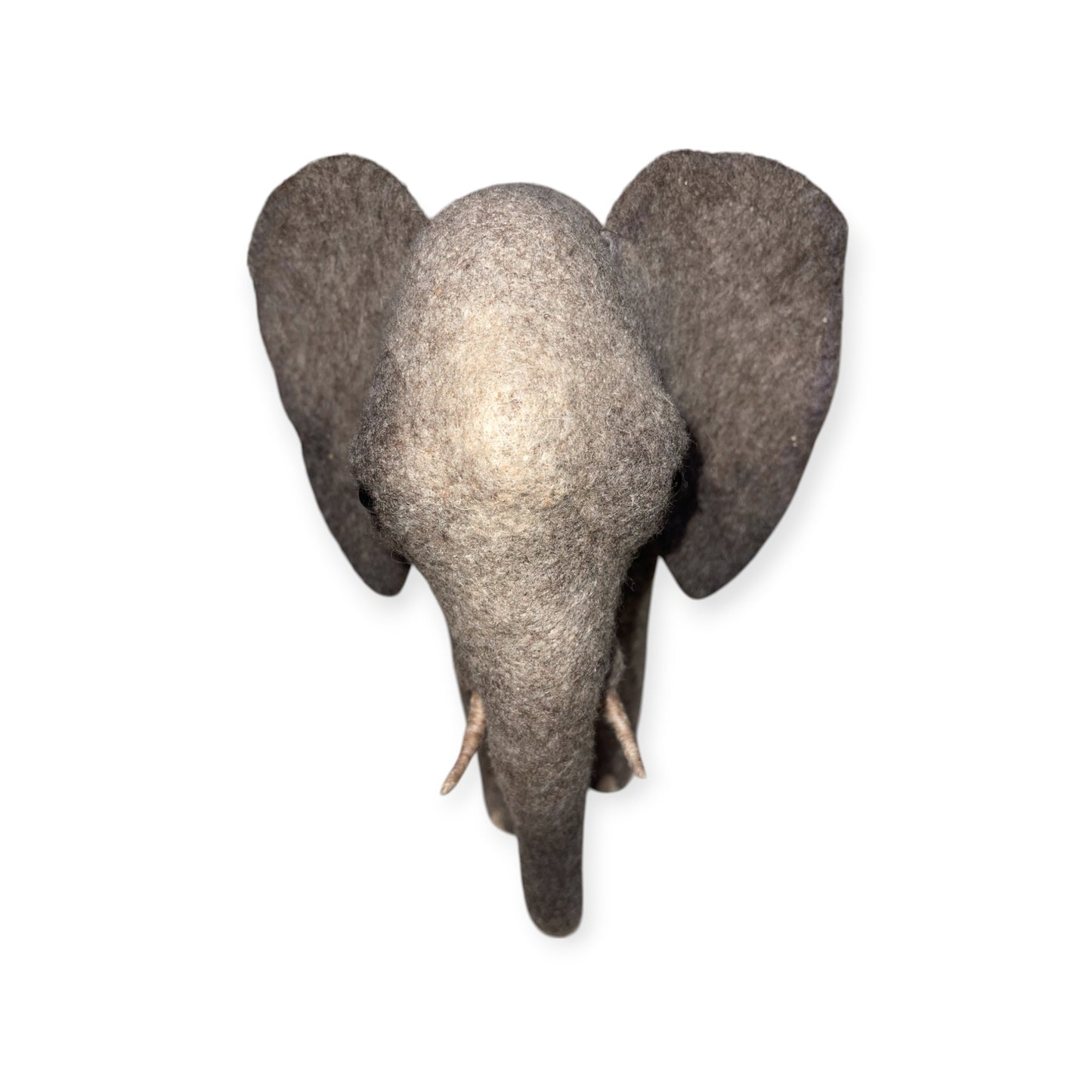 African Elephant