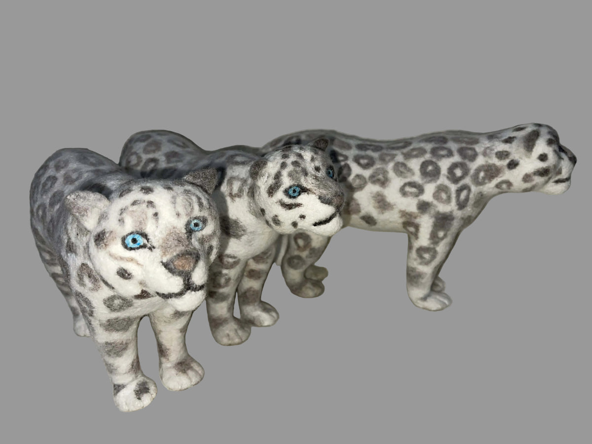 Gobi Snow Leopard