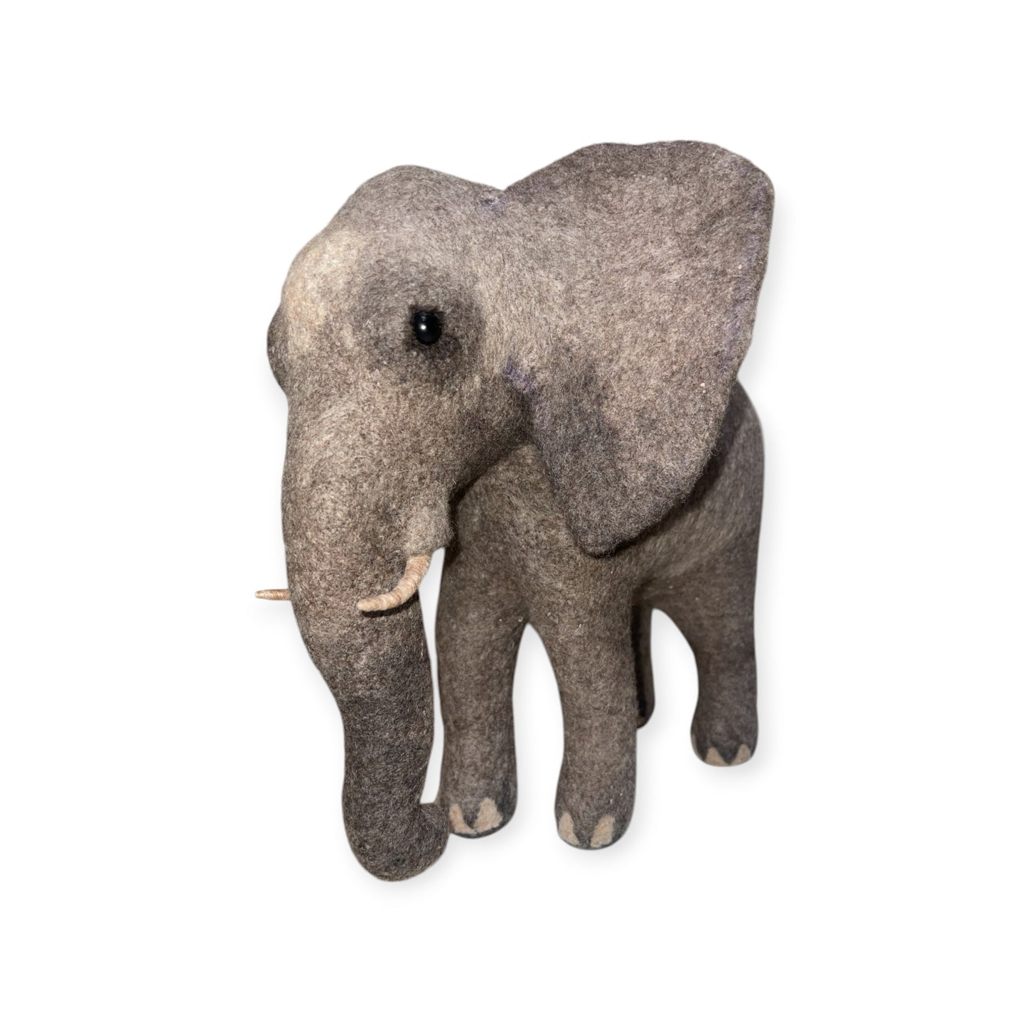 African Elephant