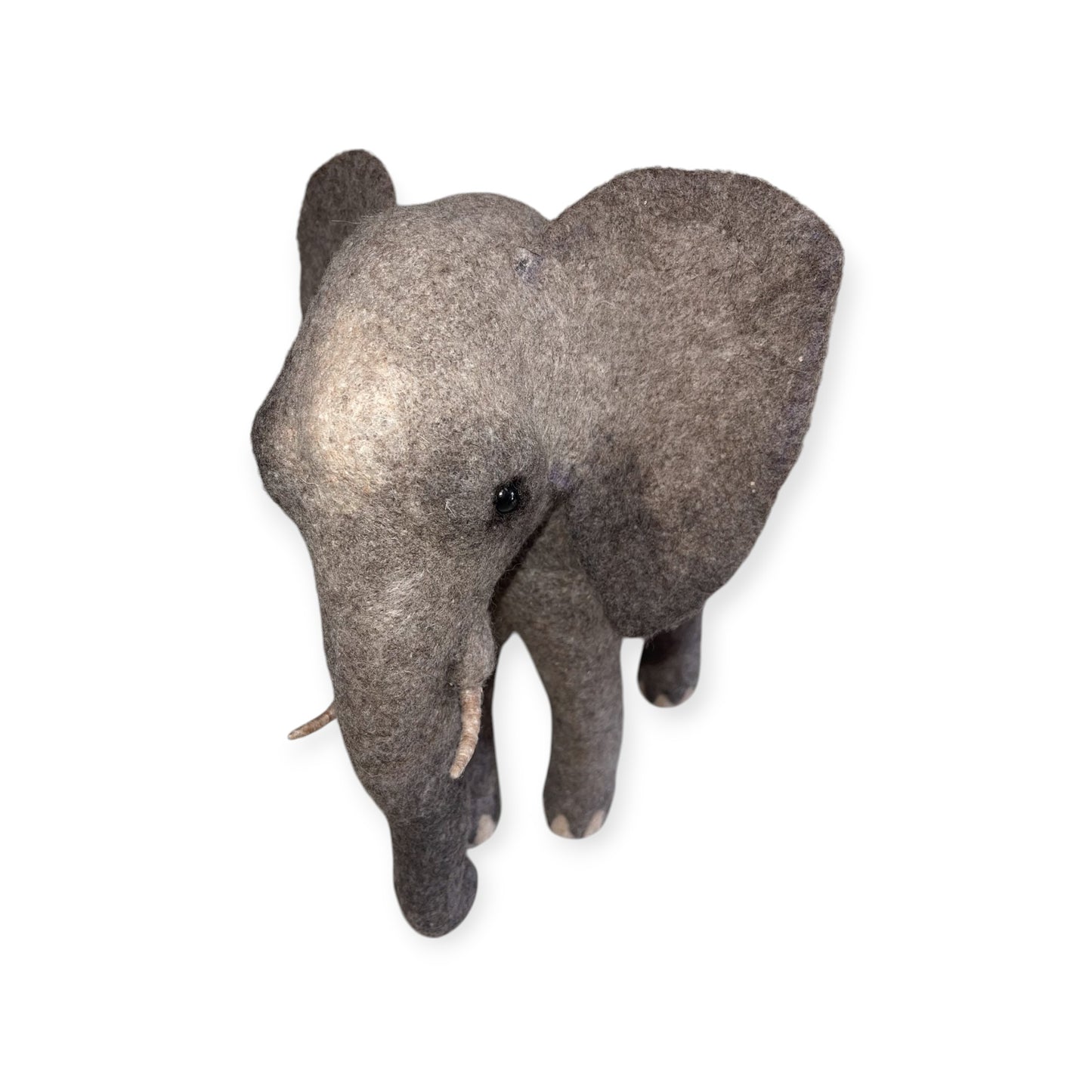 African Elephant