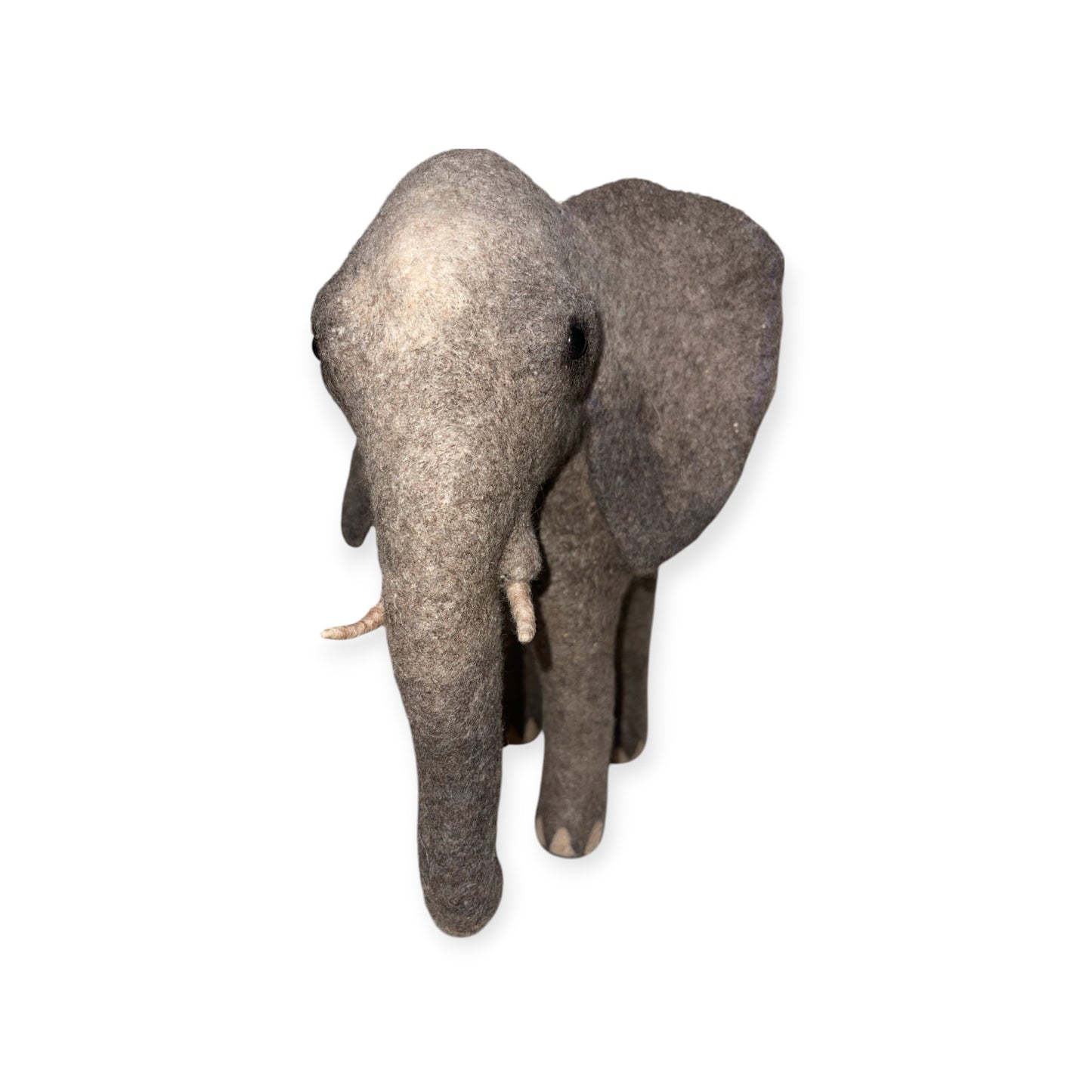 African Elephant