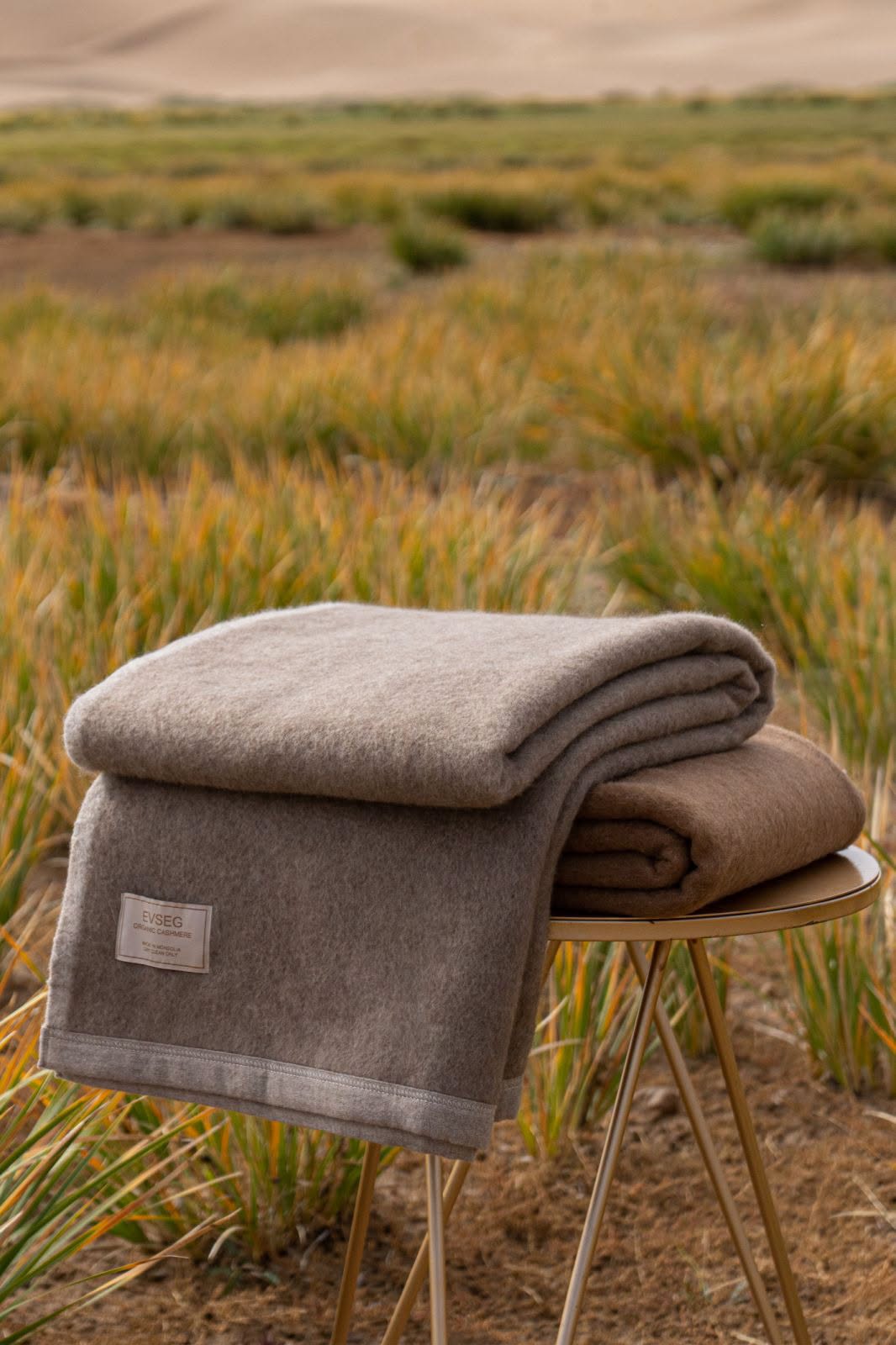 Cashmere Blanket