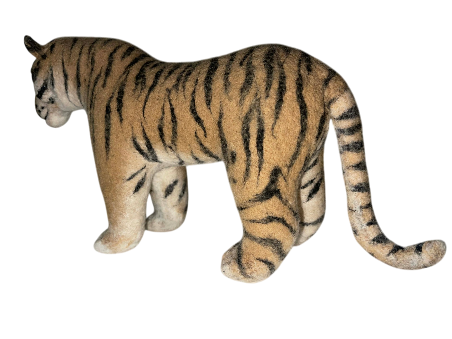 Indian Bengal Tiger