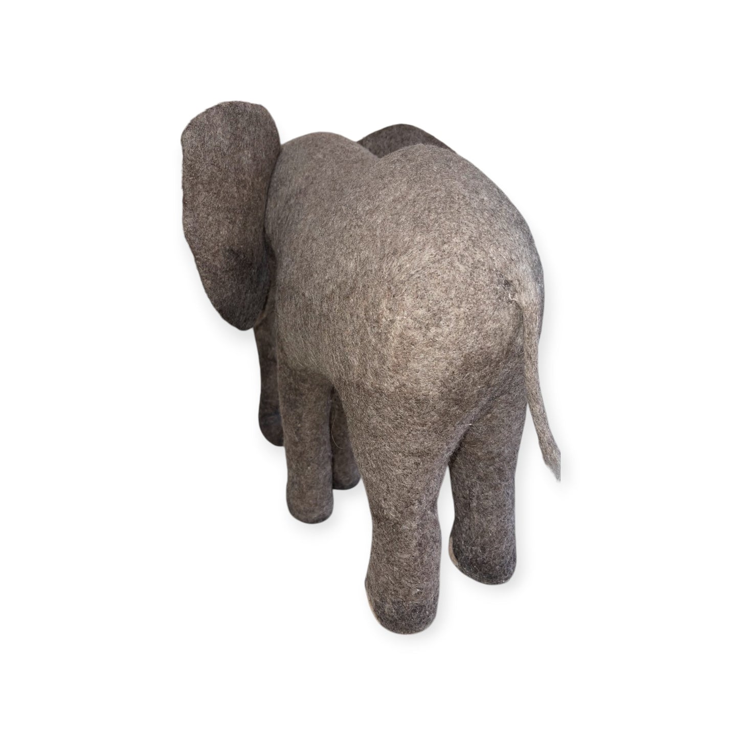 African Elephant