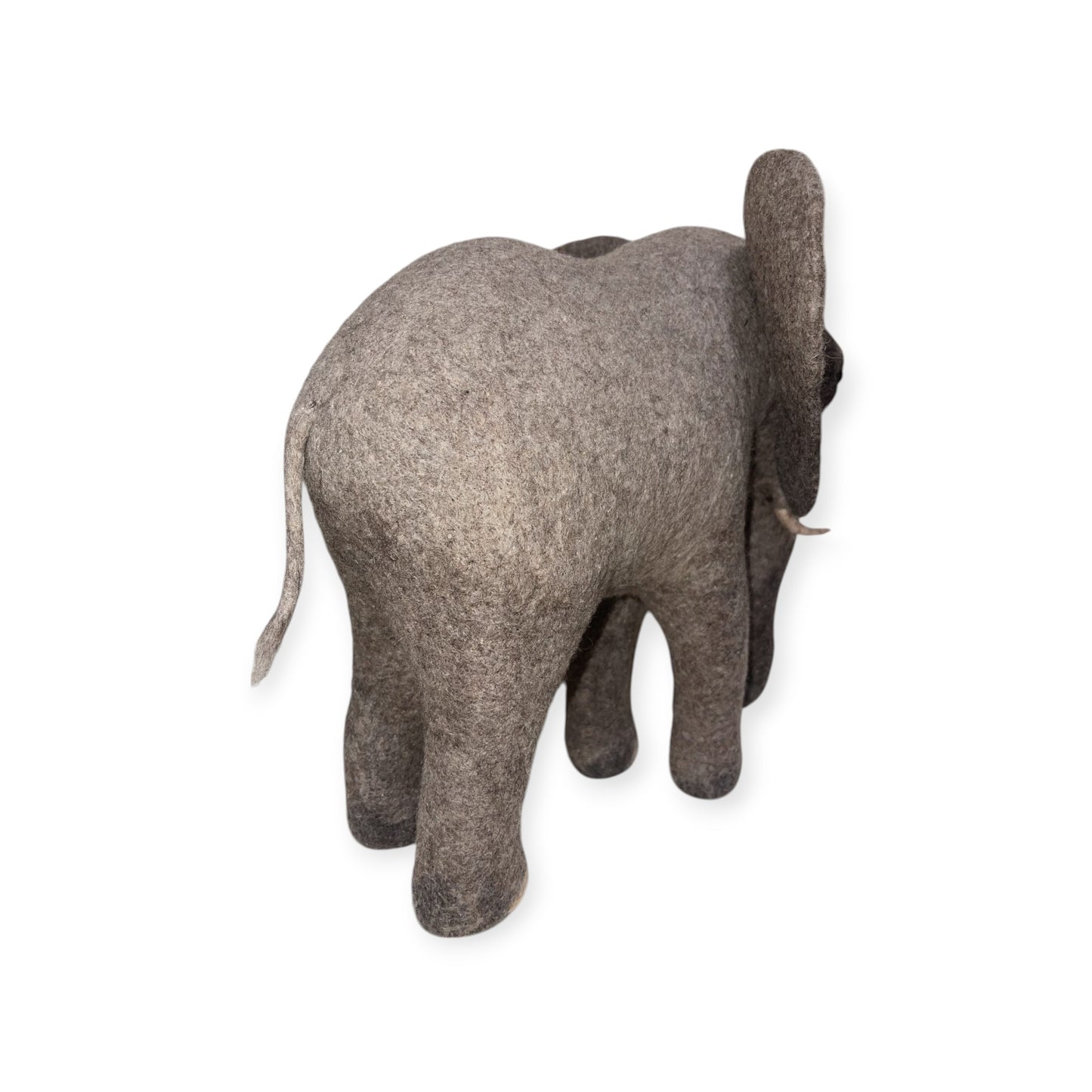 African Elephant
