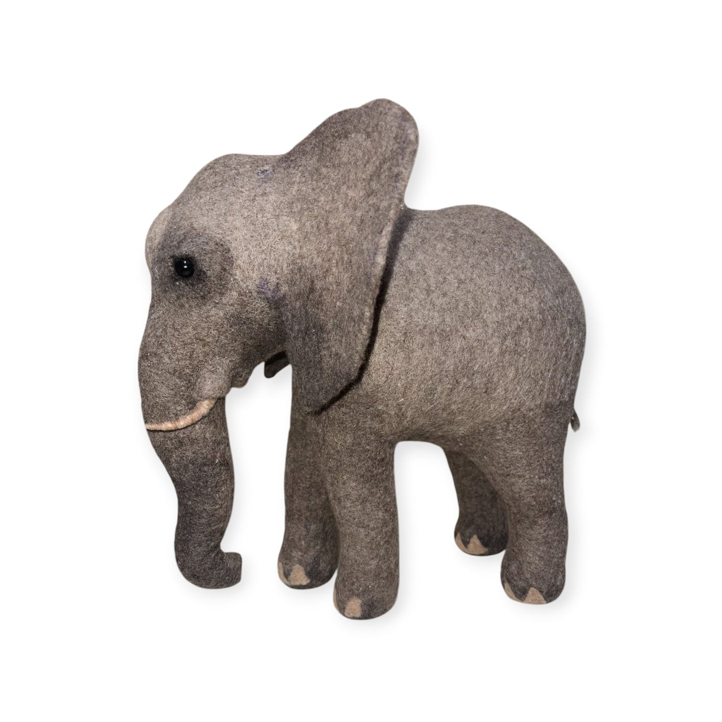 African Elephant