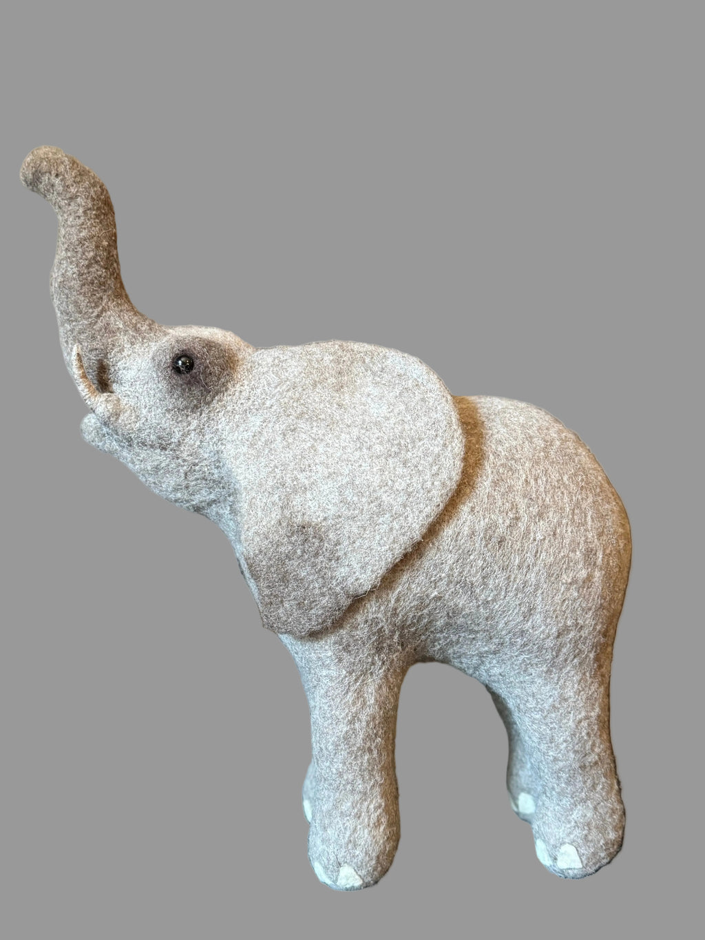 African Elephant