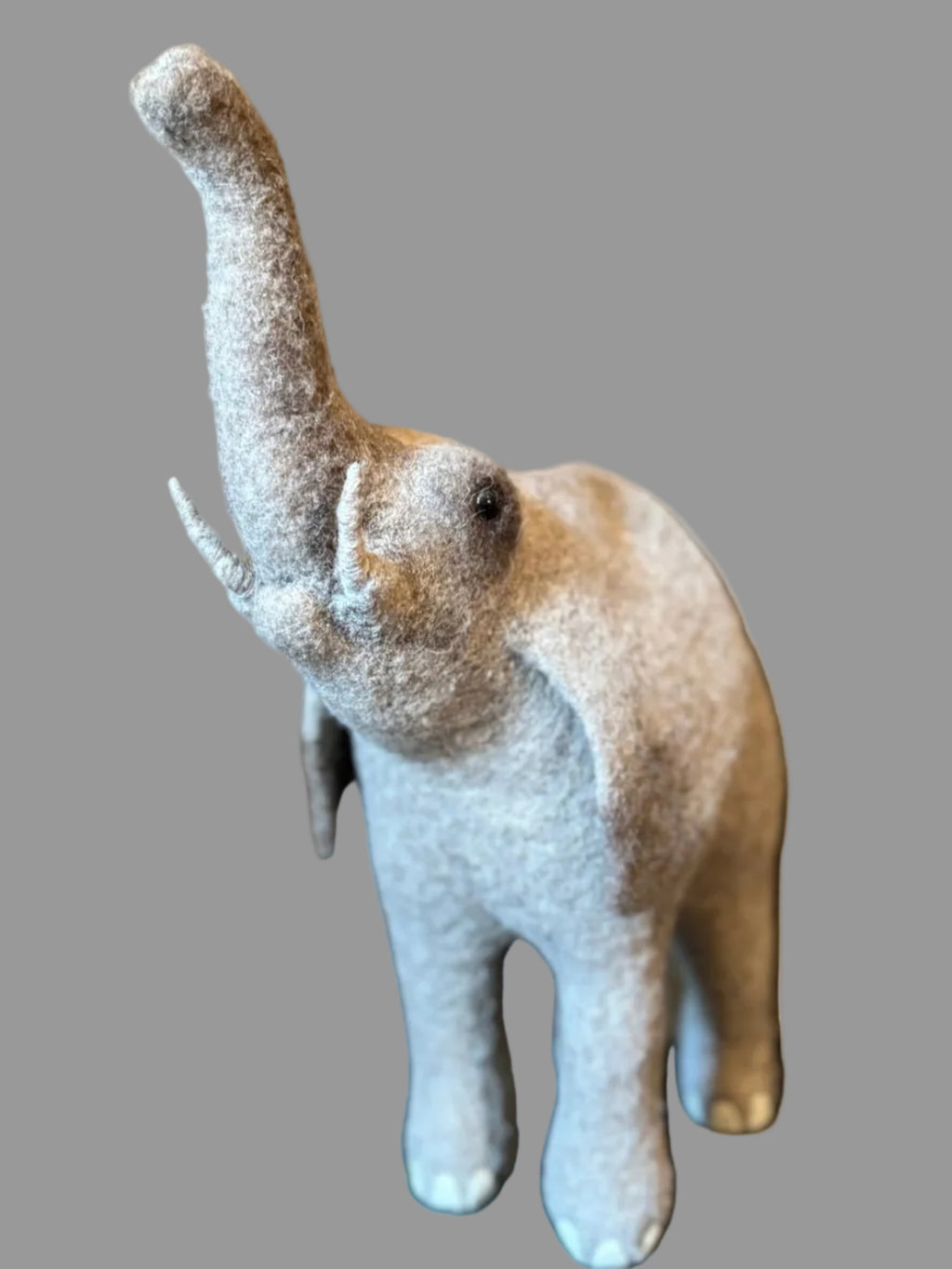 African Elephant