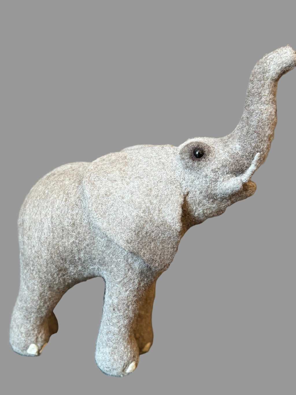 African Elephant