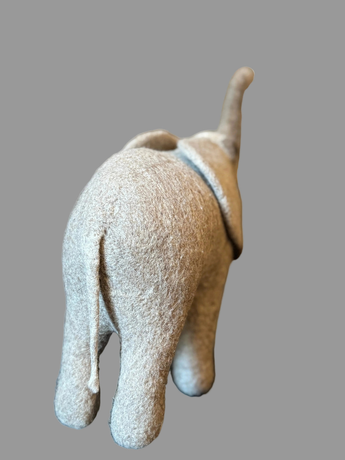 African Elephant