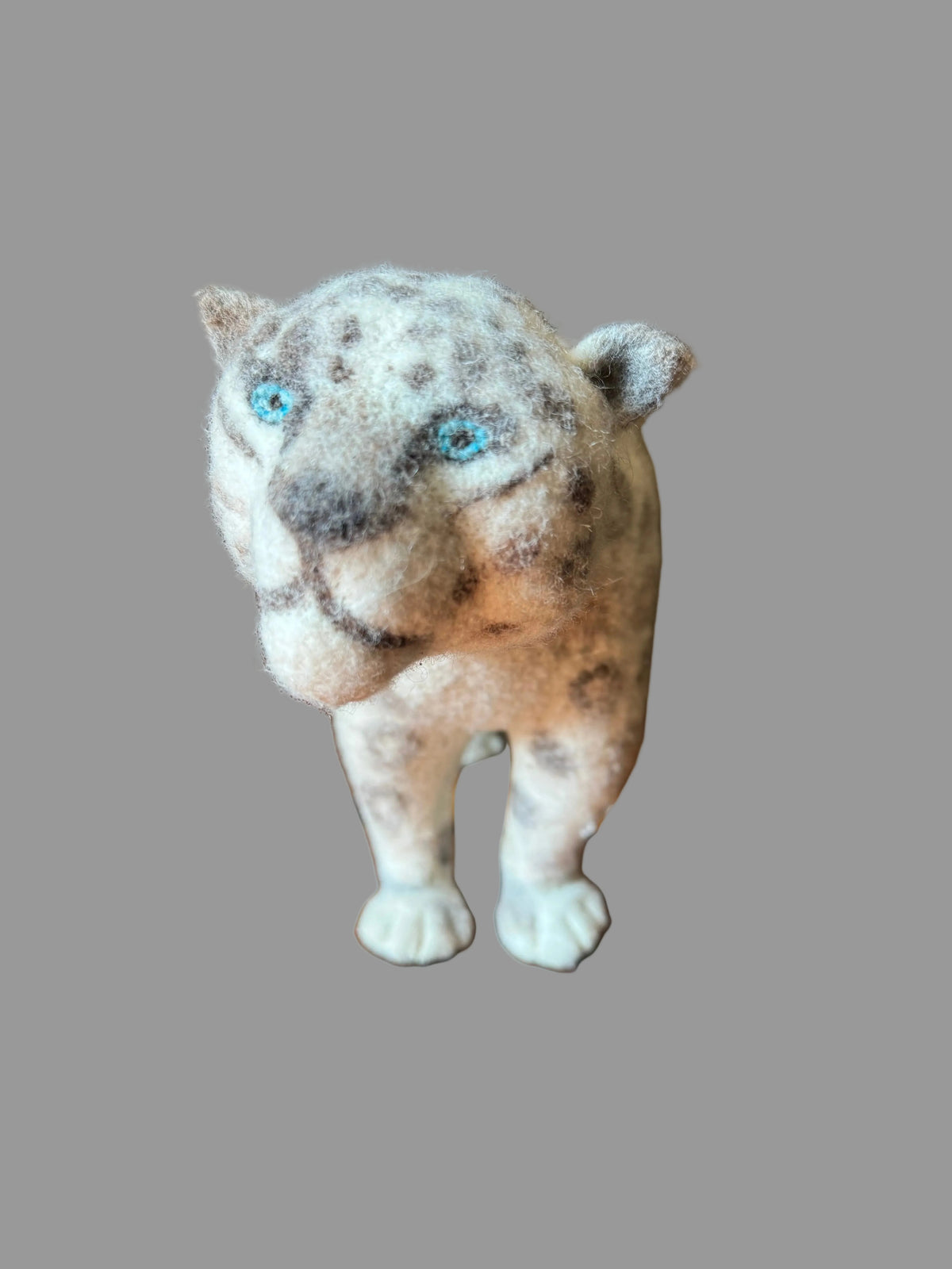 Gobi Snow Leopard