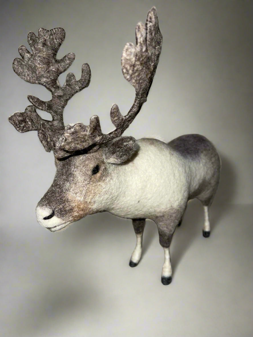Mongolian Reindeer