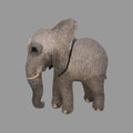 African Elephant