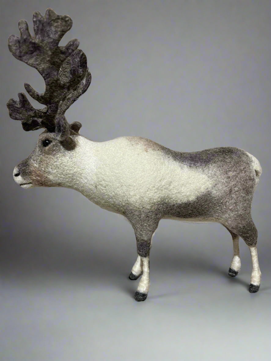 Mongolian Reindeer
