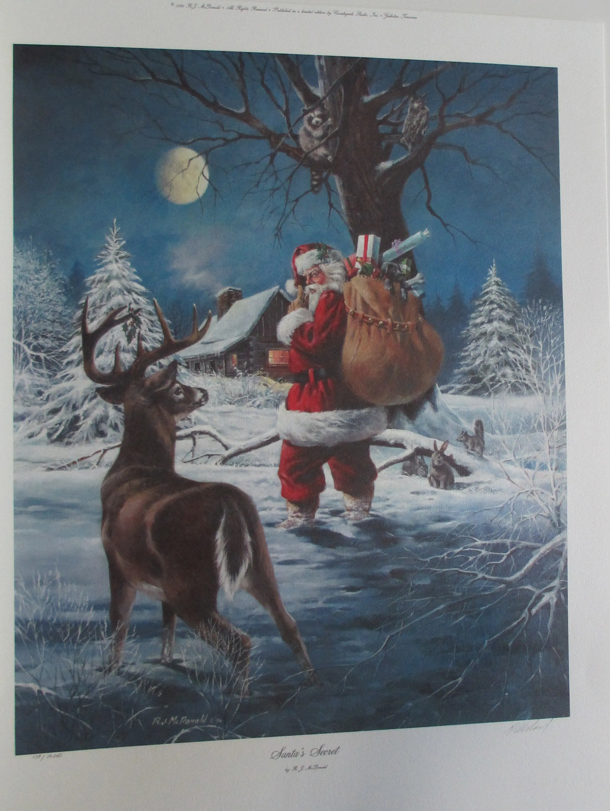 Santa's Secret