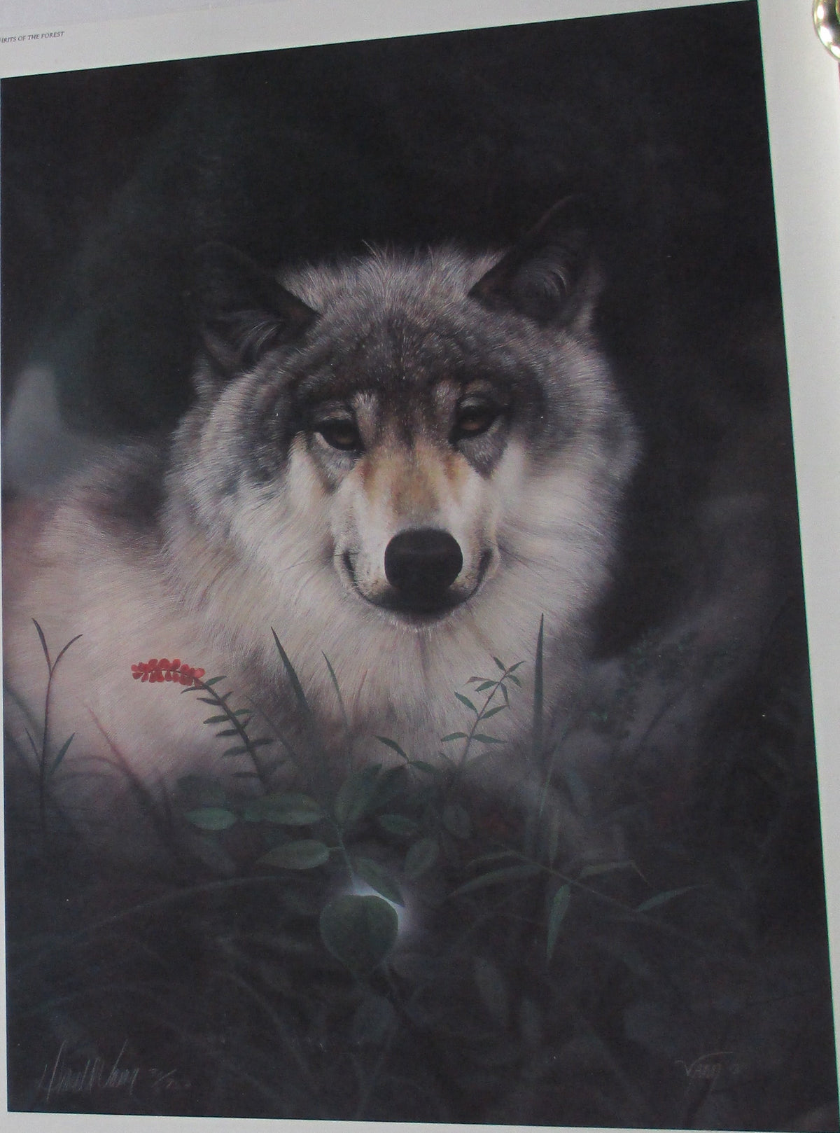 Spirit of the Forest