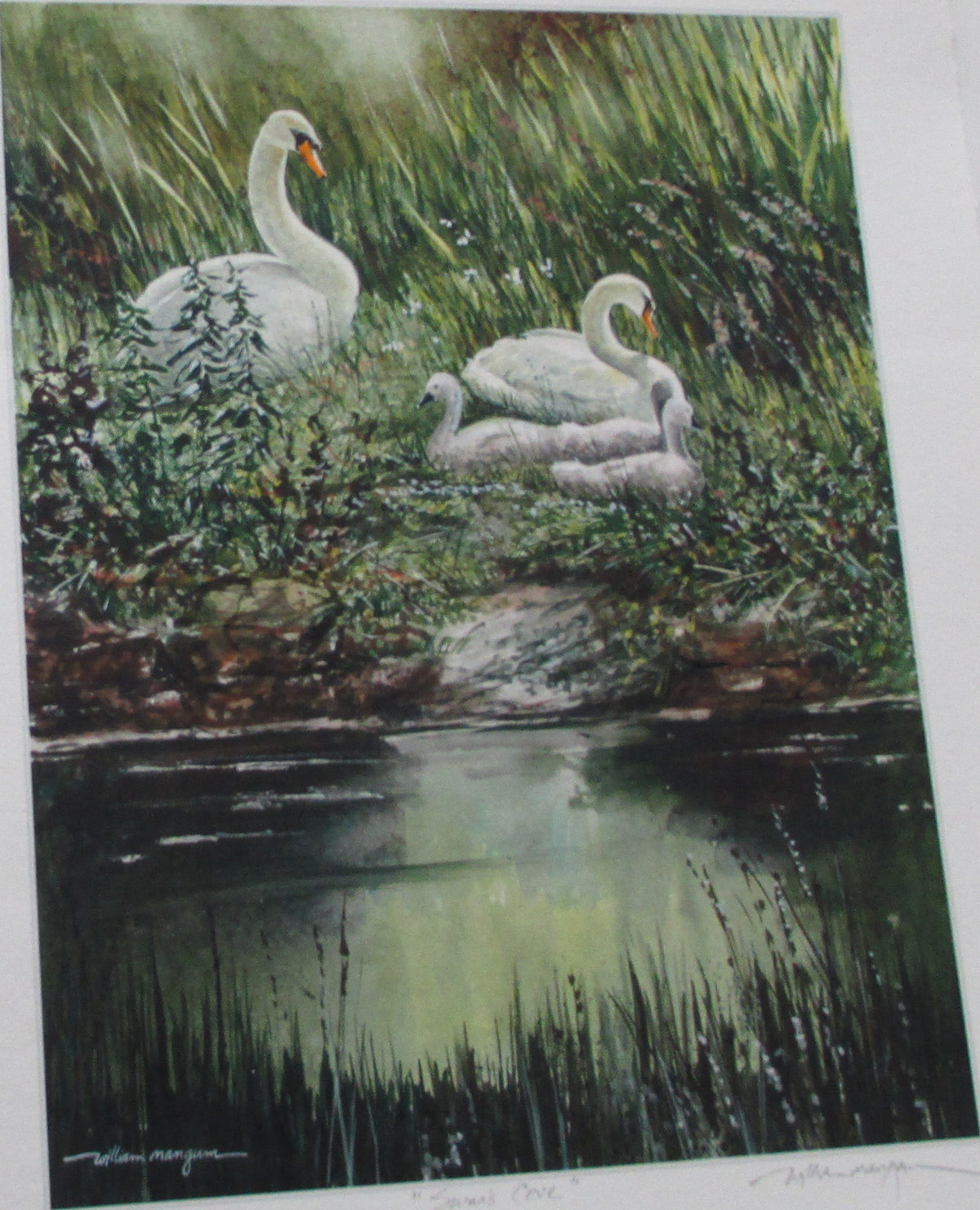 Swan's Cove