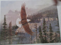 Wings of Freedom Fly Again