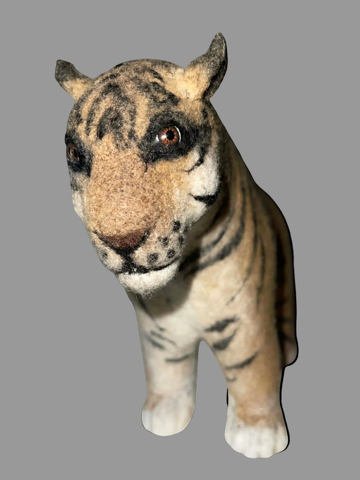 Indian Bengal Tiger