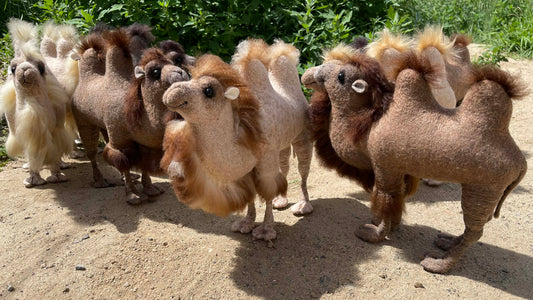 Bactrian Camel
